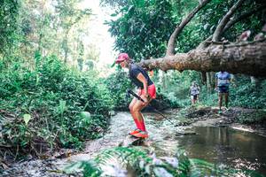 BIB: 
                            <button type="button" onclick="openModal(25436289)" class="btn btn-primary btn-sm float-right btn-popup" data-toggle="modal" data-target=".modal-high-quality">
                        <i class="fas fa-shopping-cart"></i> Add to Cart
                    </button>
                                            <button type="button" onclick="isThisMe(25436289, true)" class="btn btn-success btn-sm float-right btn-popup btn-isme hidden" data-toggle="tooltip" data-placement="bottom" title="นี่คือรูปของคุณใช่ไหม คลิกที่นี่เพื่อเอาเข้าอัลบั้ม">
                        <i class="fas fa-plus"></i> Add to album
                    </button>
                    <button type="button" onclick="isThisMe(25436289, false)" class="btn btn-warning btn-sm float-right btn-popup btn-isnotme hidden">
                        <i class="fas fa-ban"></i> Remove from album
                    </button>